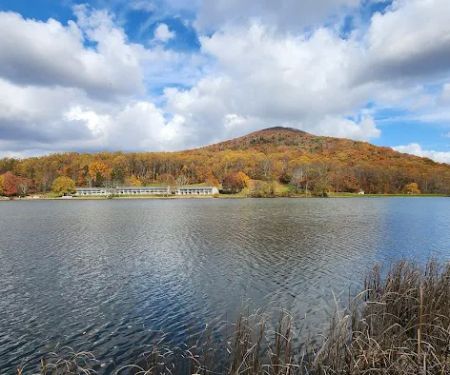 Peaks Of Otter Campground