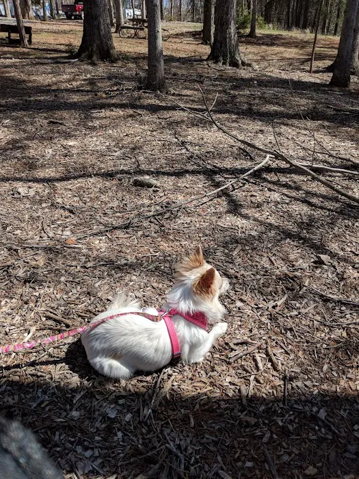 Eagle's Roost Picture 9