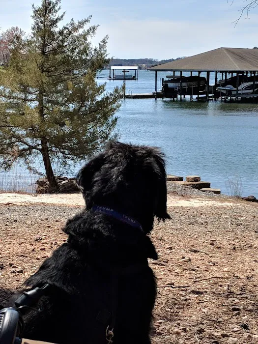 Eagle's Roost Picture 6