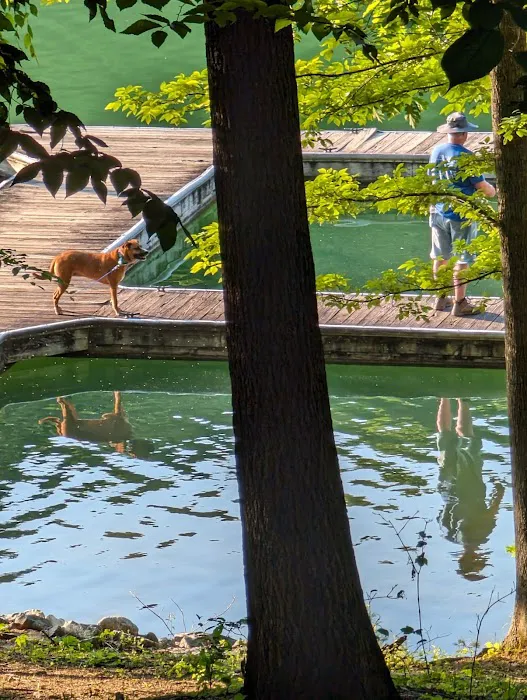 Cabin Area Picture 4