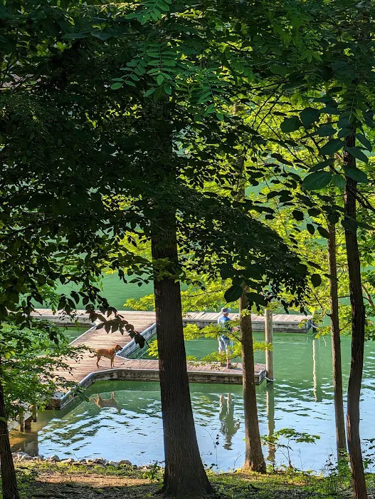 Cabin Area Picture 5