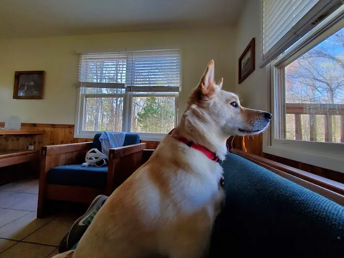 Cabin Area Picture 7