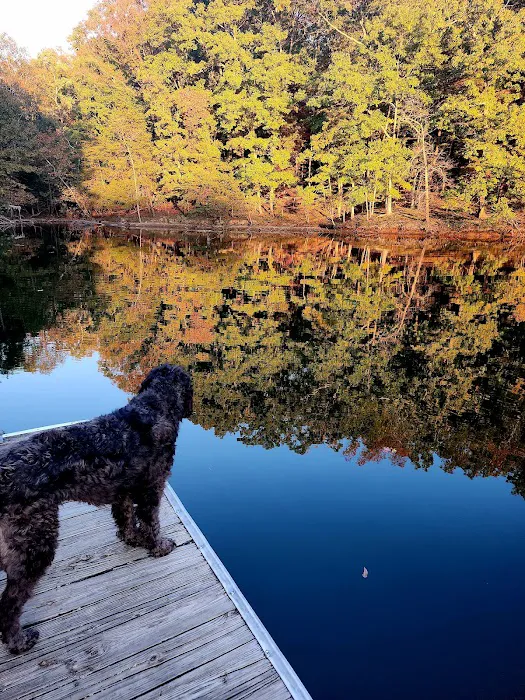 Cabin Area Picture 8