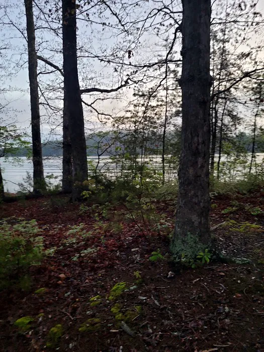 Betty's Island Picture 9