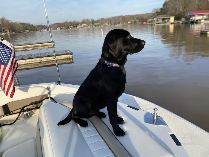 Betty's Island Picture 7