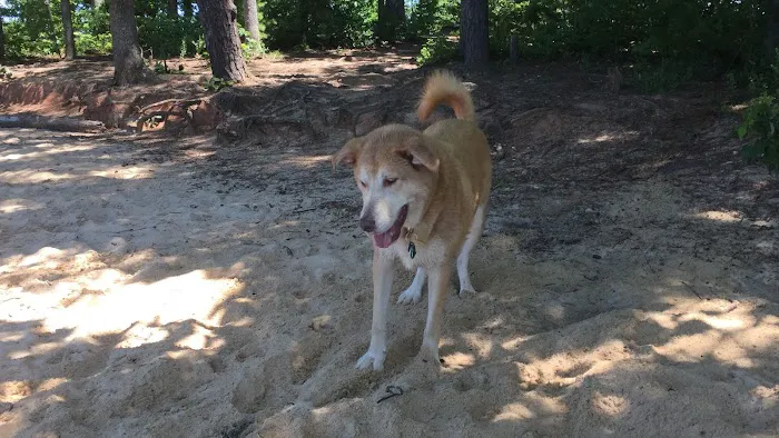 Betty's Island Picture 4