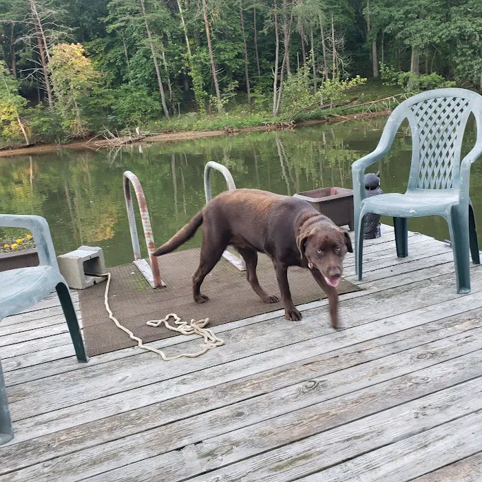 Lazy Cove Campground Picture 6