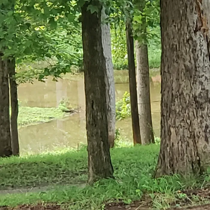 Lazy Cove Campground Picture 4