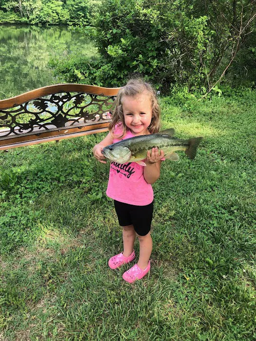 Smith Mountain Campground Picture 8