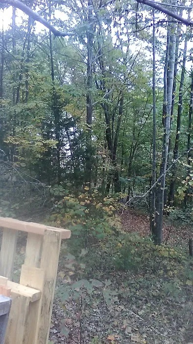 Blue Ridge Campground & Marina Picture 9