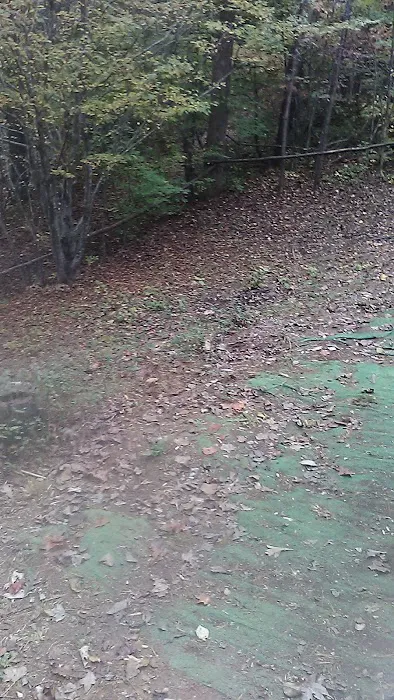 Blue Ridge Campground & Marina Picture 7