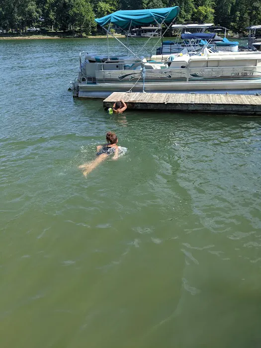 Blue Ridge Campground & Marina Picture 4