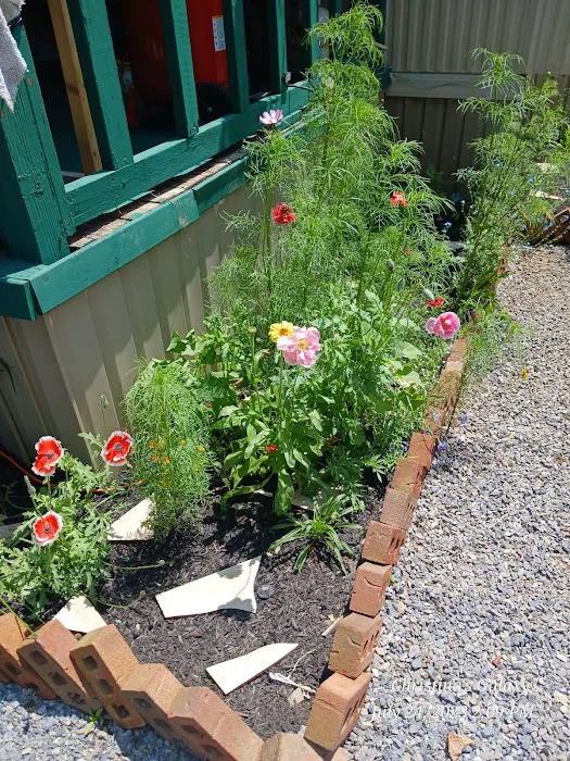 Horseshoe Bend Campground SML Picture 4