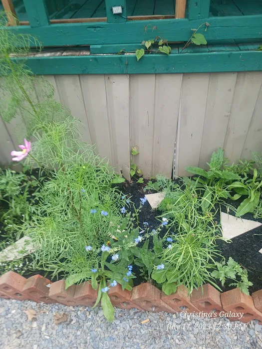 Horseshoe Bend Campground SML Picture 6