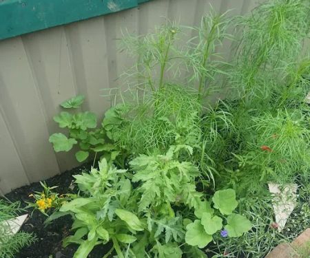 Horseshoe Bend Campground SML