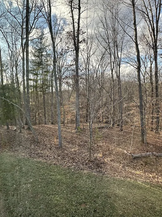 Don's Cab-Inns Campground Picture 6