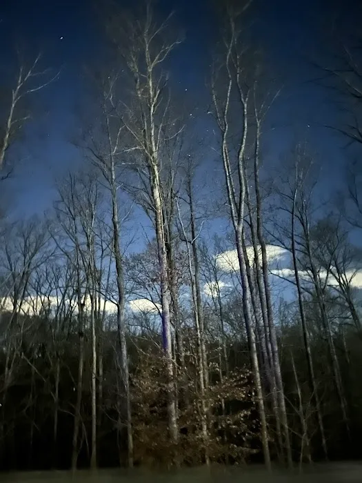 Don's Cab-Inns Campground Picture 4