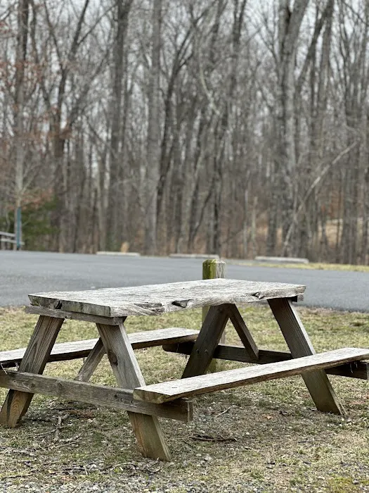 Don's Cab-Inns Campground Picture 2