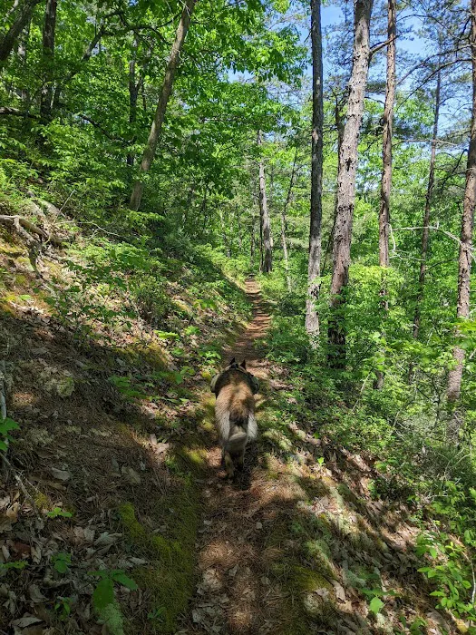 Greenwood Point Campground Picture 9