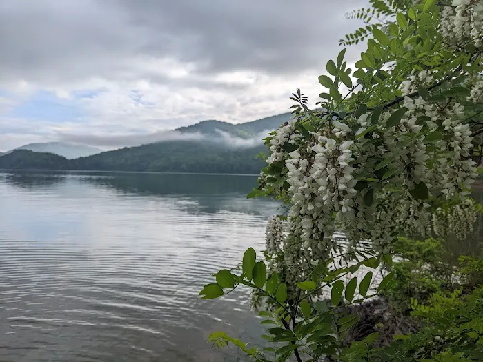 Greenwood Point Campground Picture 7