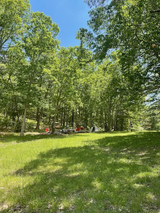 Greenwood Point Campground Picture 6