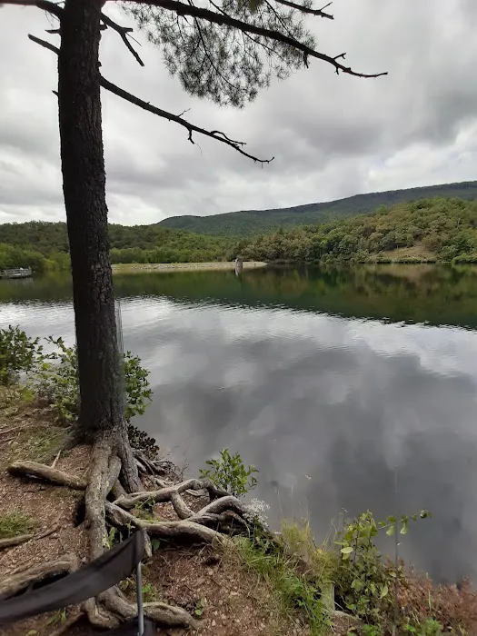 Morris Hill Campground Picture 2