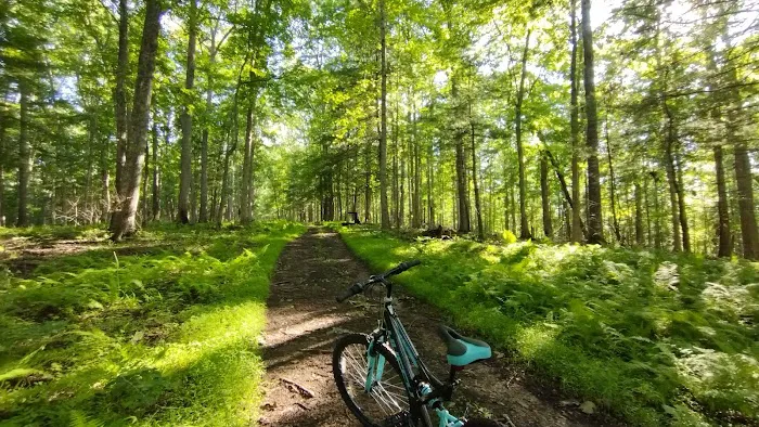 Morris Hill Campground Picture 5