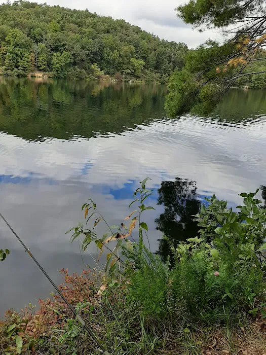 Morris Hill Campground Picture 4