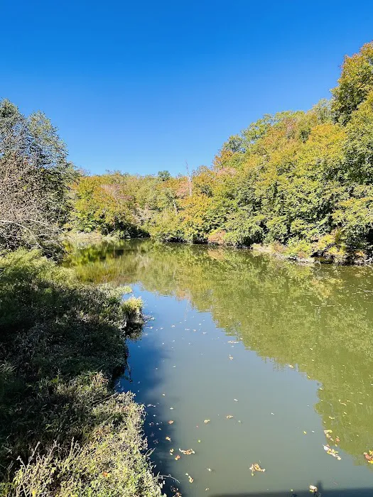 Pocahontas Campground Picture 6