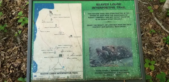 Bolar Mountain Campground #21 Picture 1