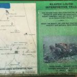 Bolar Mountain Campground #21