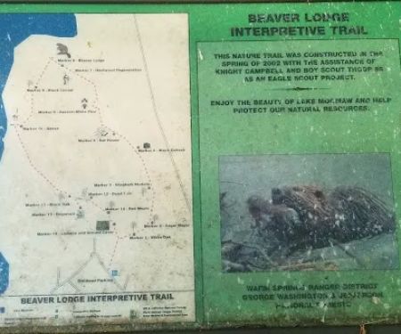 Bolar Mountain Campground #21