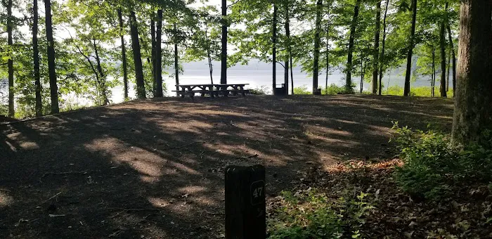 Bolar Mountain Campground #21 Picture 2