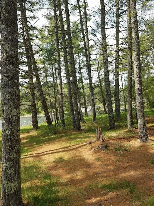 Lake Sherwood Recreation Area Picture 5