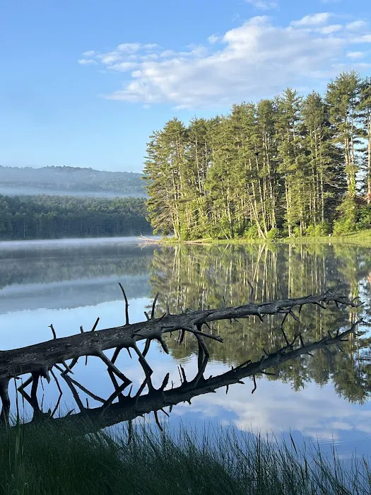 Lake Sherwood Recreation Area Picture 7