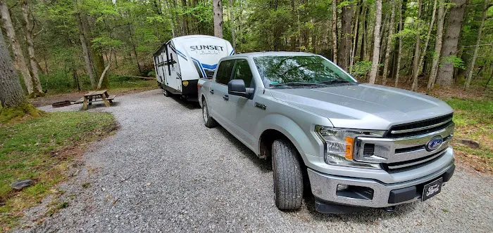 Beaver Creek Campground Picture 5
