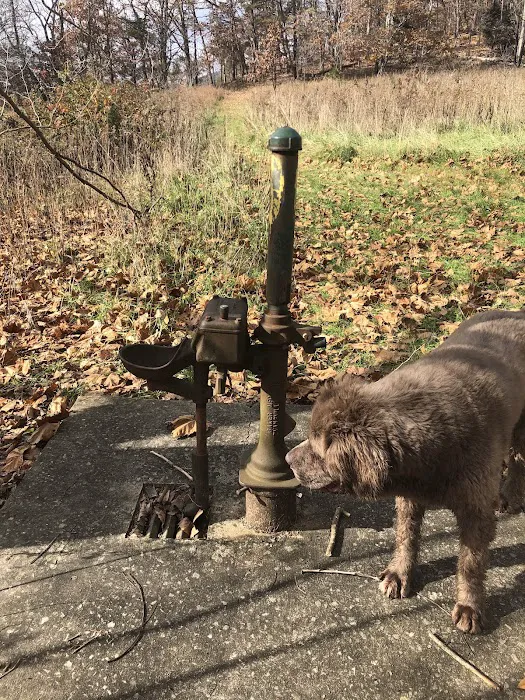 Craig Creek Recreation Area Picture 6