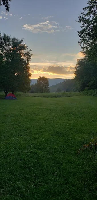 Craig Creek Recreation Area Picture 5