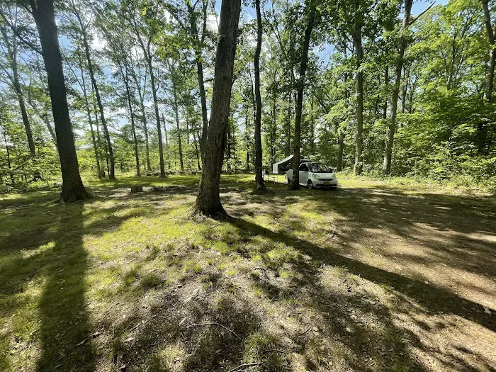 The Pines Campground Picture 9