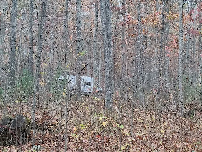 The Pines Campground Picture 1