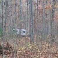 The Pines Campground ico