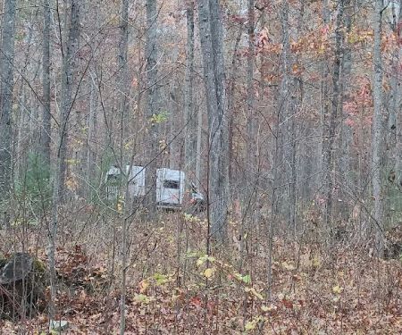 The Pines Campground