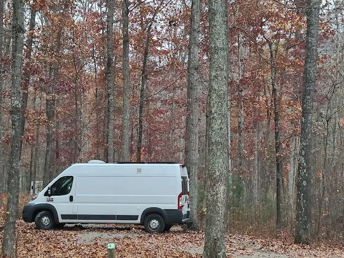 The Pines Campground Picture 2