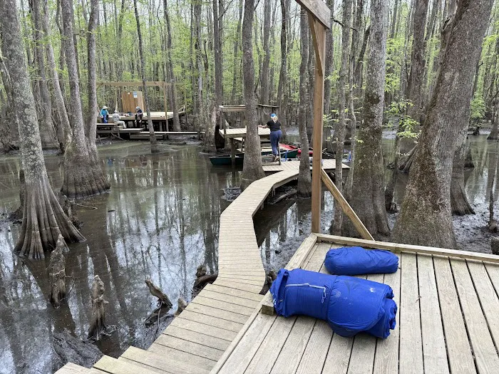 Beaver Lodge and Beaver Tail Picture 2