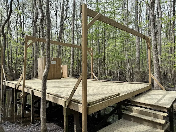Beaver Lodge and Beaver Tail Picture 4