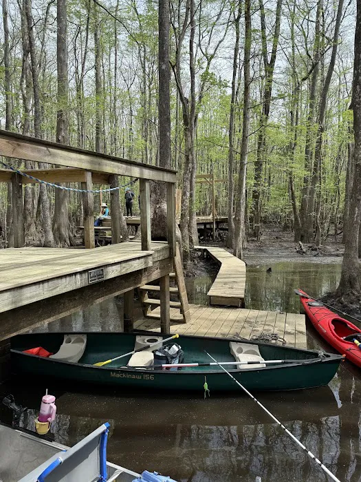 Beaver Lodge and Beaver Tail Picture 1