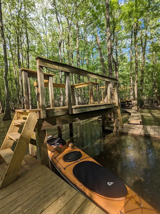 Beaver Lodge and Beaver Tail Picture 10