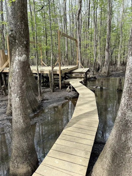 Beaver Lodge and Beaver Tail Picture 7