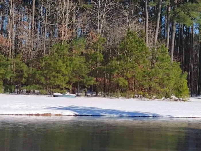 Ross’ Paradise Park Picture 1