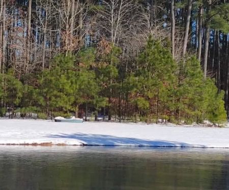 Ross’ Paradise Park